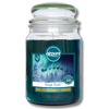 Airpure Jar Candle Sleigh Ride 510g