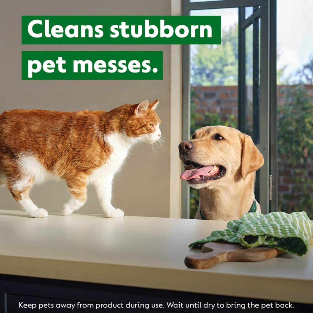 Dettol Homes With Pets Cleaning Spray 750ml