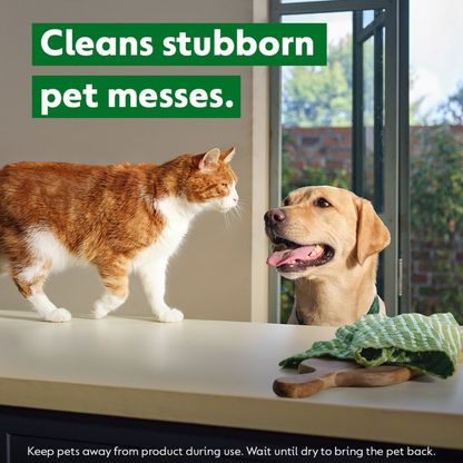 Dettol Homes With Pets Cleaning Spray 750ml