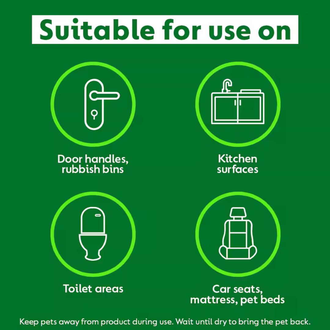 Dettol Homes with Pets Spray Fresh Breeze 300ml