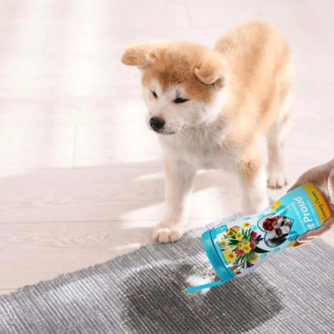 Airpure Petproud Carpet Freshener Wild Country Flowers 500g